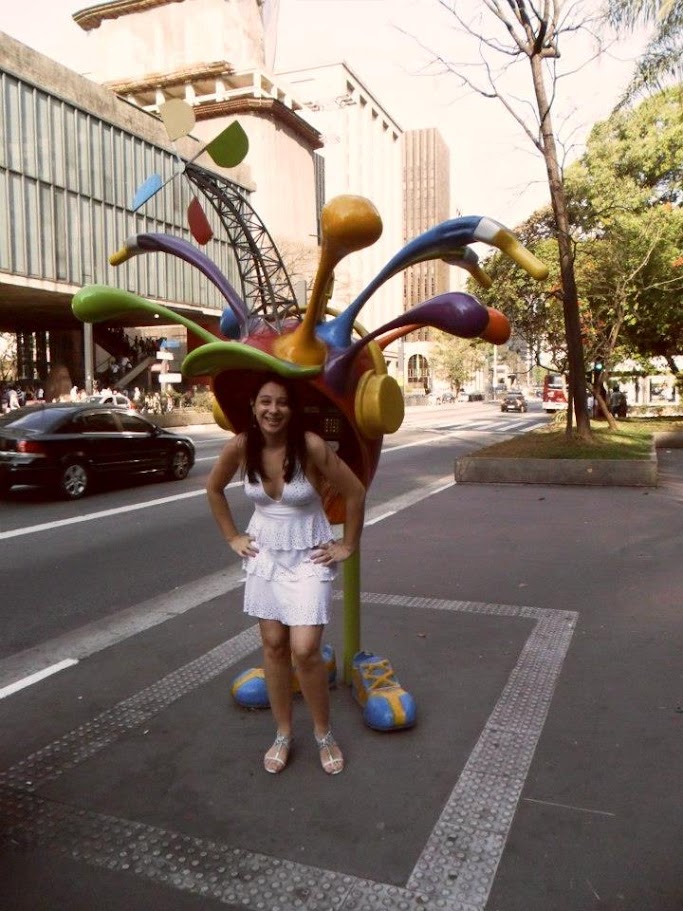 A História de São Paulo em Cada Canto